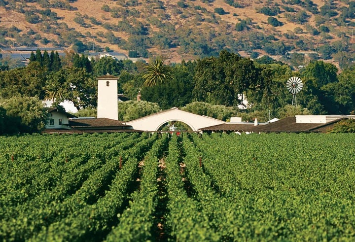 Robert Mondavi